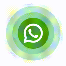 03004015556